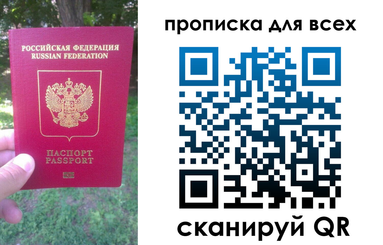 прописка поиск в Елизово